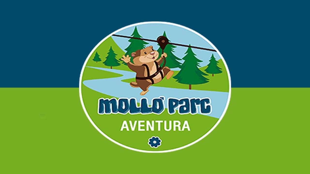 Llanars, En Vall De Camprodon Vistas Montana De Frente, Ascensor, Orientacion Sur, Chimenea, Wifi, Mollo Park, Vallter, Hipica, Golf Exterior foto