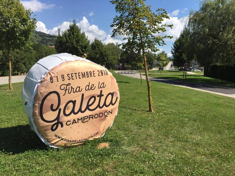 Llanars, En Vall De Camprodon Vistas Montana De Frente, Ascensor, Orientacion Sur, Chimenea, Wifi, Mollo Park, Vallter, Hipica, Golf Exterior foto